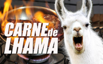 Comemos carne de lhama na Bolívia - Volta ao Mundo 