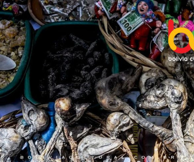 Mercado de Las Brujas e o sincretismo boliviano