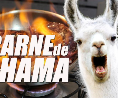 Comemos carne de lhama na Bolívia - Volta ao Mundo 